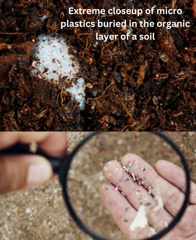 Mikroplastik topraktaki mikroorganizmaları nasıl etkileyebilir.jpg
